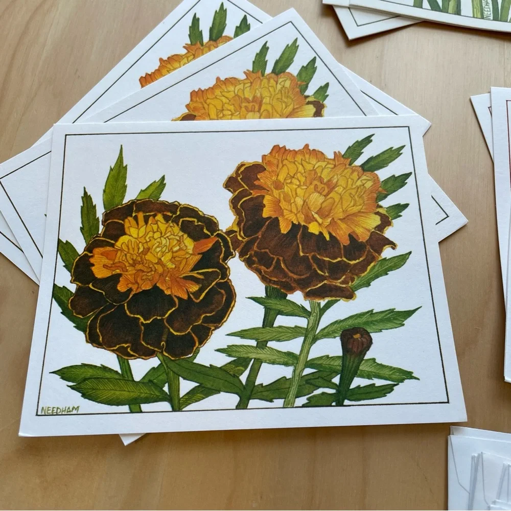 Vintage Stationery by Current Garden Glory 4 Floral Designs w Envelopes 1979